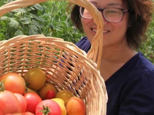 ���յķ�����