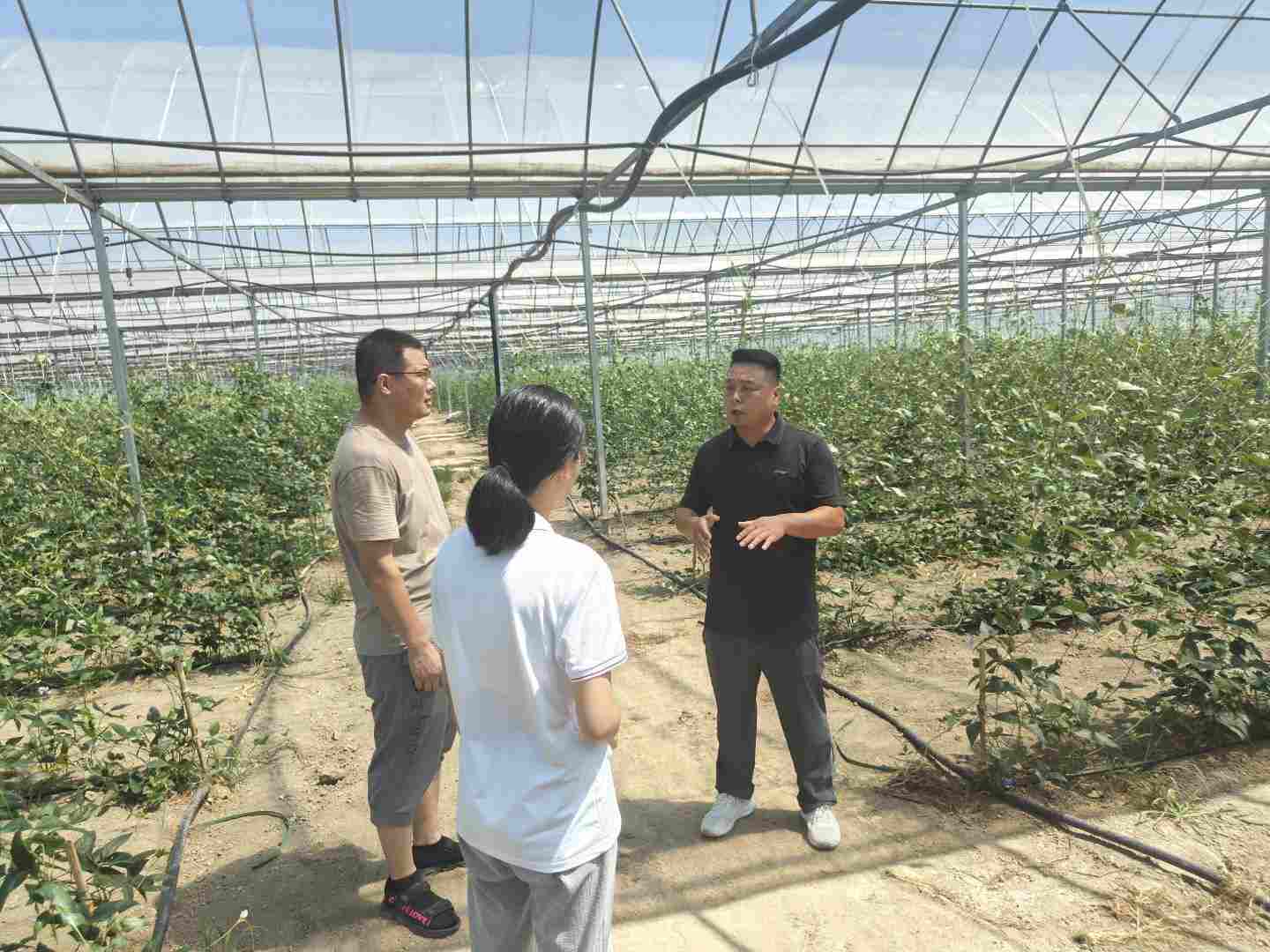 �������������˺�