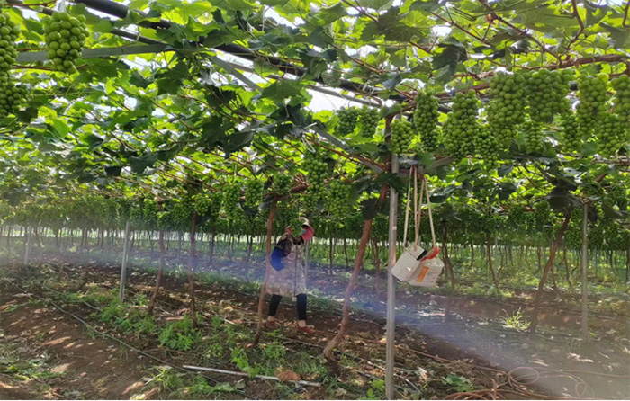 ̽Ѱ�������� ����������� ����ʦ����ѧ�������ѧѧԺ������ʡ