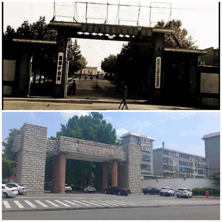 ��֤���з�չ��������������