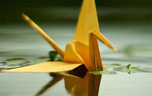 ��ɳ����ְҵ����ѧԺ��ҵ�ʼ���ҵǰ����ô��