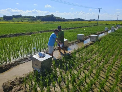 ʢ��һ�� �Ƽ�����