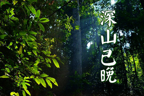 ��ɽ����