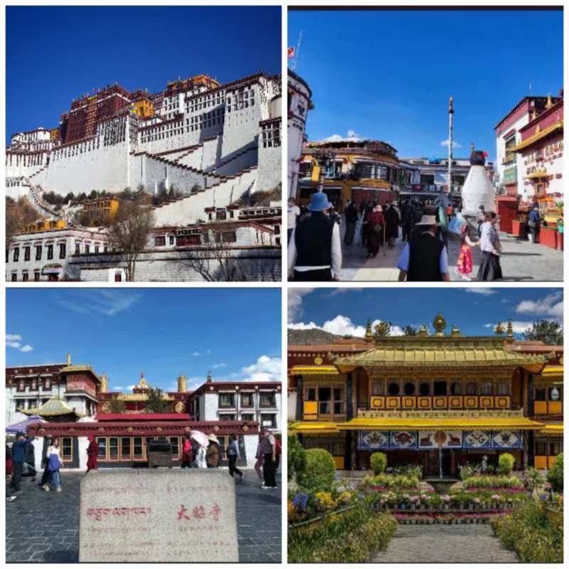 ɽ����ѧ��ѧԺ���������Σ�����̽���������ų�Ա�����������п�չ����