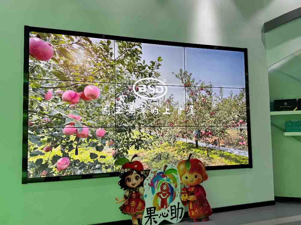 ��������������İ������ũ�ˡ����ʵ���Ӹ���̨����ϼ��չ���л