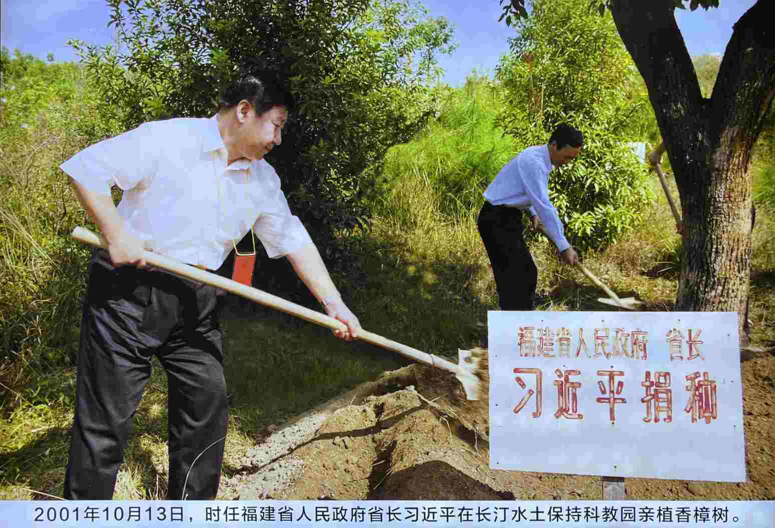 ����͡���顱����· ��ɫ������¾�