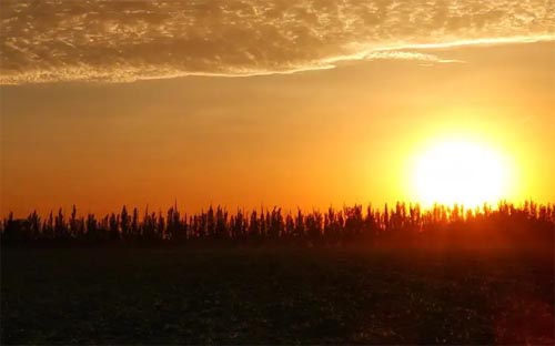 �ŷ�����