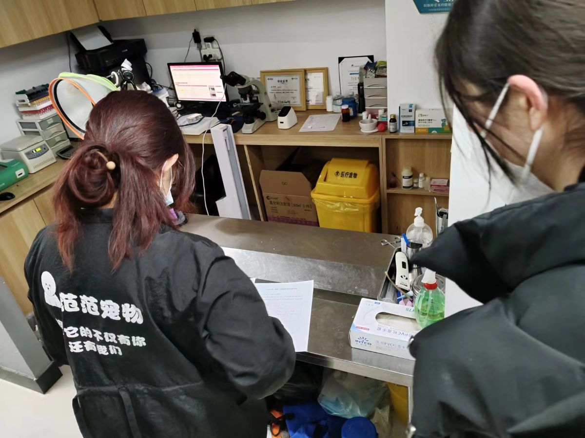 ɽ����ѧ��Ĥ�ǽ�ʵ��������ǰ�������г���ҽԺʵ�ص���