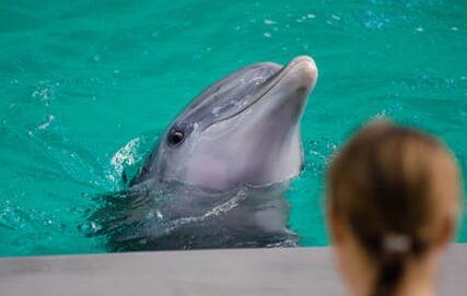 ���ֺ��칤ҵѧԺ��ҵ�ʼ���ҵǰ����ô��