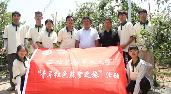 �¶��Ƽ��������߲�����߲�