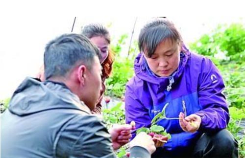 ����Ϊũ������ɶ