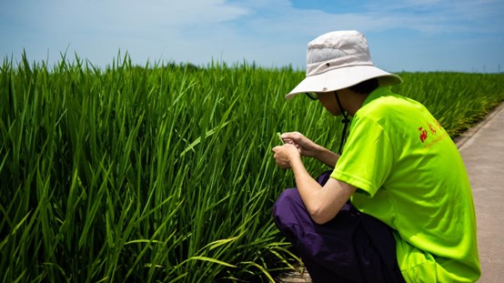 ����ѧ�Ӽ�֤ˮ�����أ������۵��ɾ͡��츮���֡�