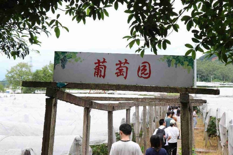 ë��ɽ�塪��ũҵ�Ƽ��ںϷ�չ