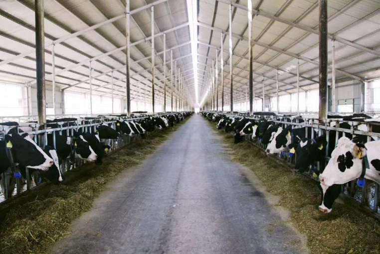 �ƹ��½�����ţ�� Я�ֹ����ౡ֮��