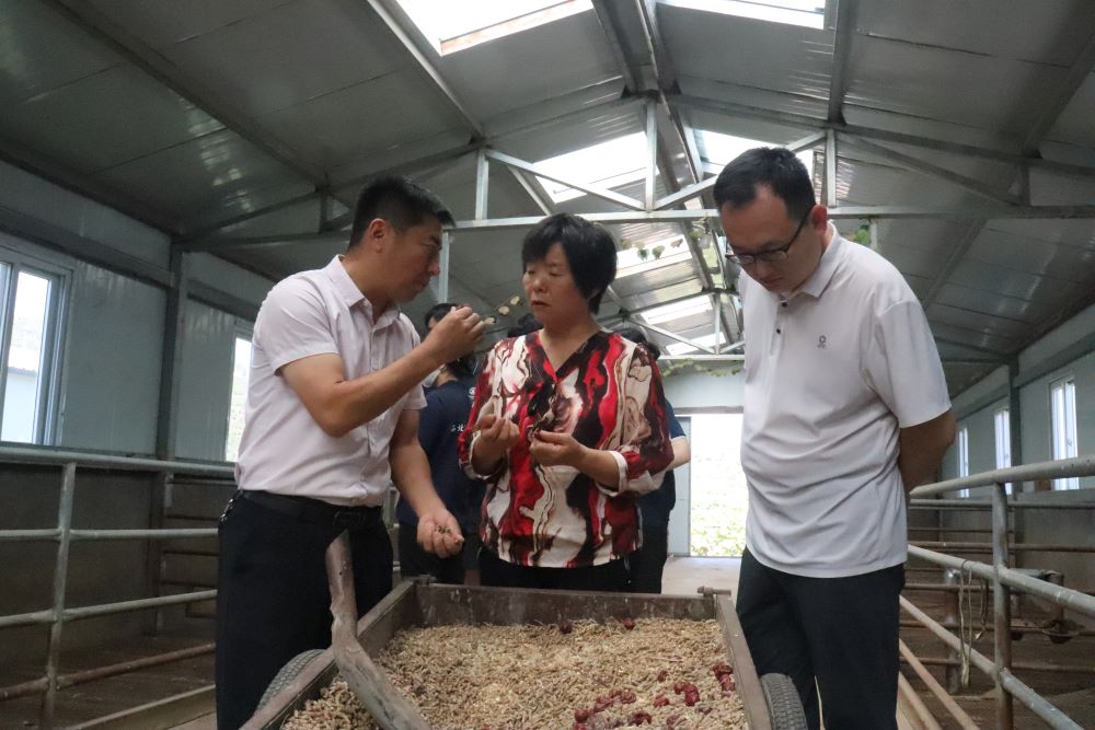 ��չ��ѵ �����Ɽ��ҵ����