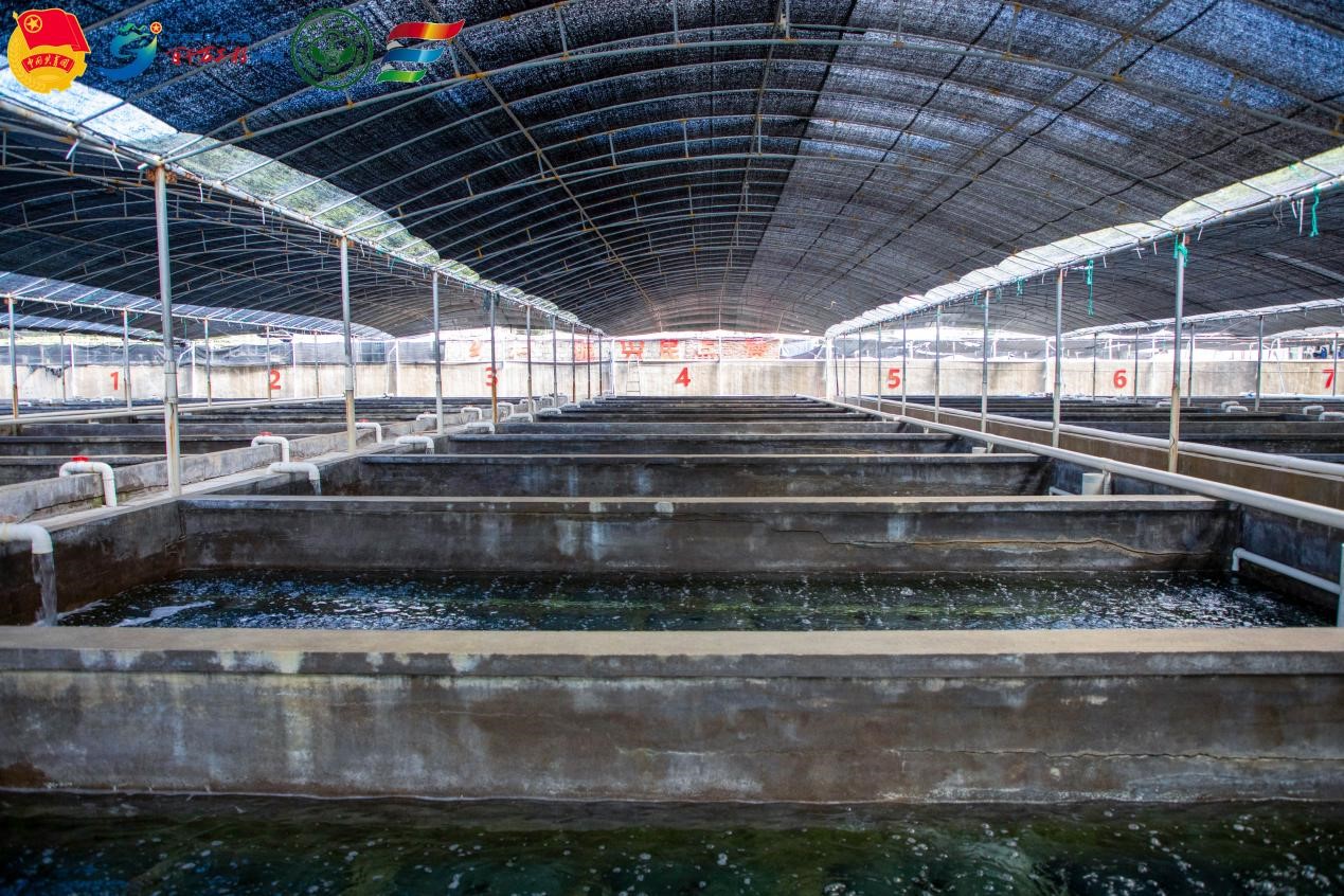 ������Ϫʵ����̽�ñ�����ֳ�����˽��Ϫ����ҵ��չ��״