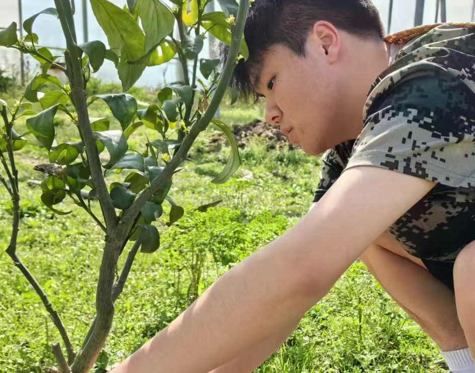 ̽Ѱ��������ֲƿ�����״�з�ٻ�������ģʽ