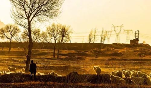 �����׶�ʦ���ߵ�ר��ѧУ��ҵ�ʼ���ҵǰ����ô��