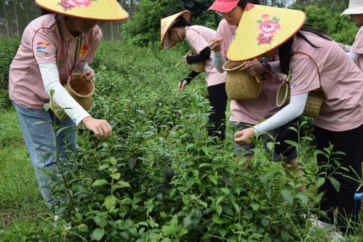 �����л����������ԡ���ƽ�ԡ������ԣ���ѧ���߽��������������