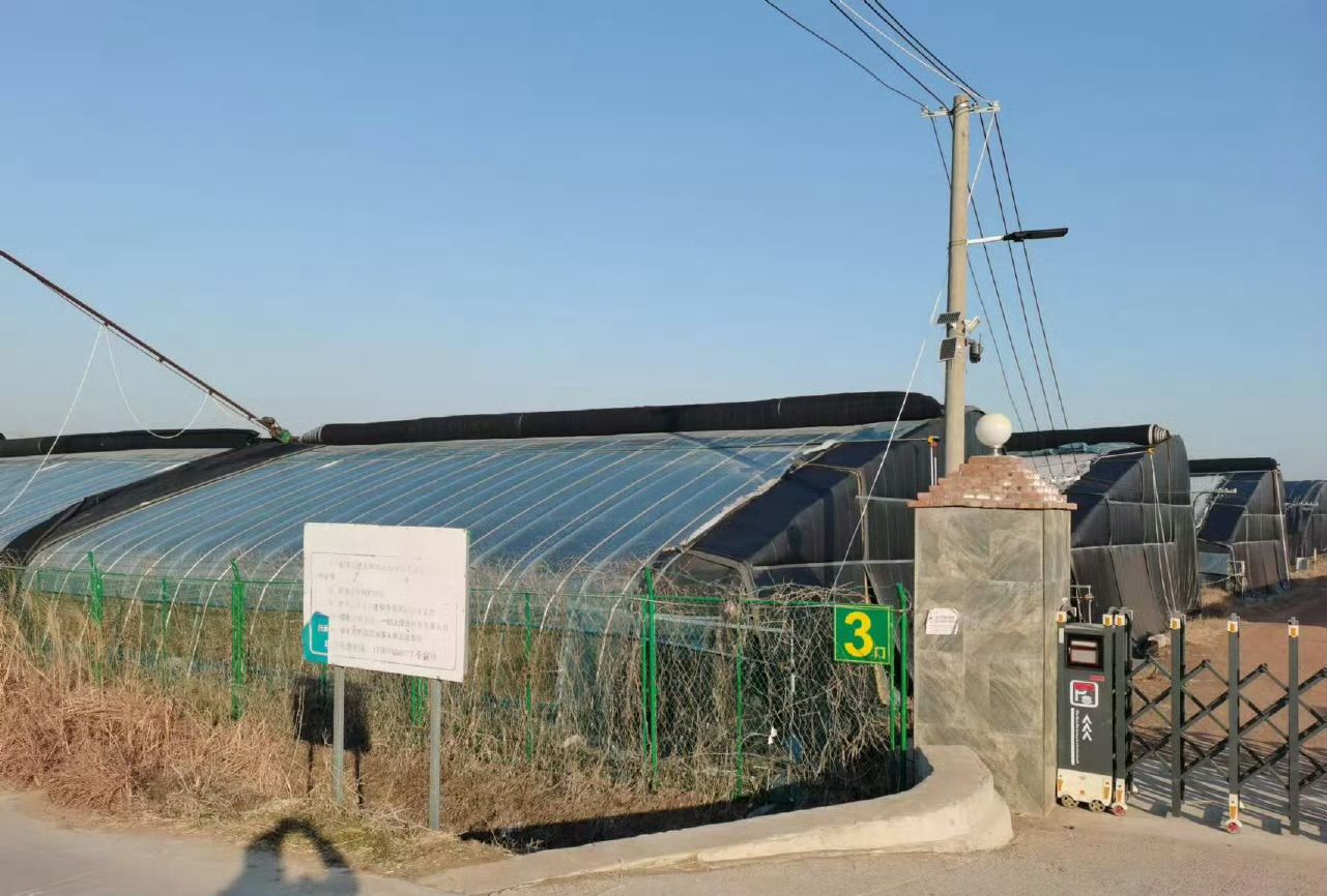 ̽����ת��·�����������ͼ