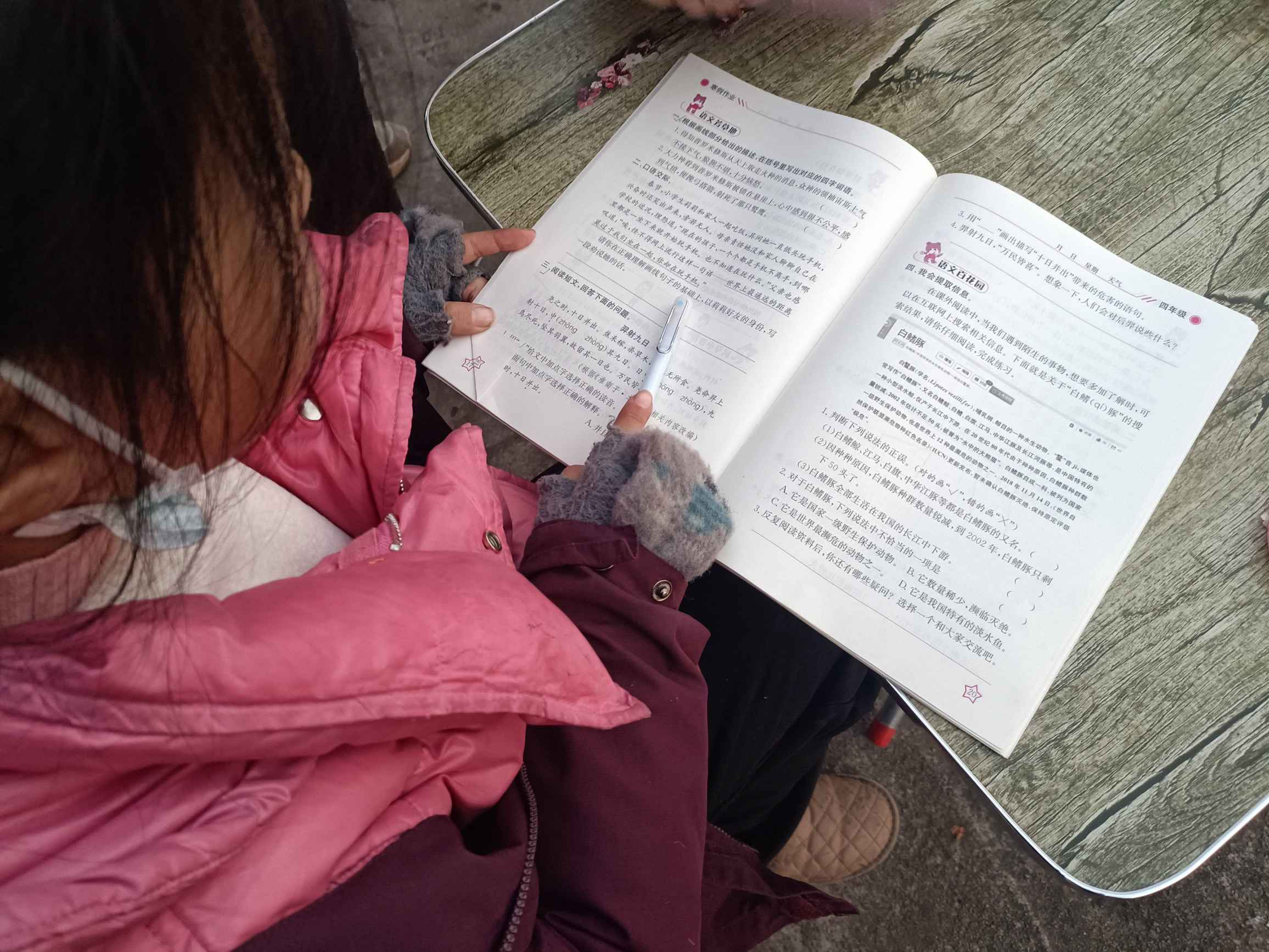 ����ʦ����ѧ���ƶ��ݺţ�����Զ��������������֧�̻