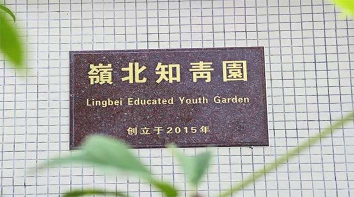 ׷Ѱ֪�����£�����֪�ྫ��