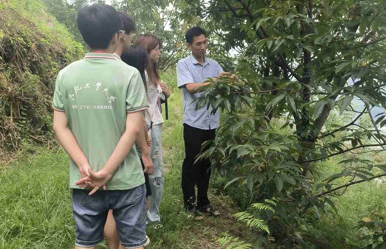 ֱ���������� ������ֵ�ɫ