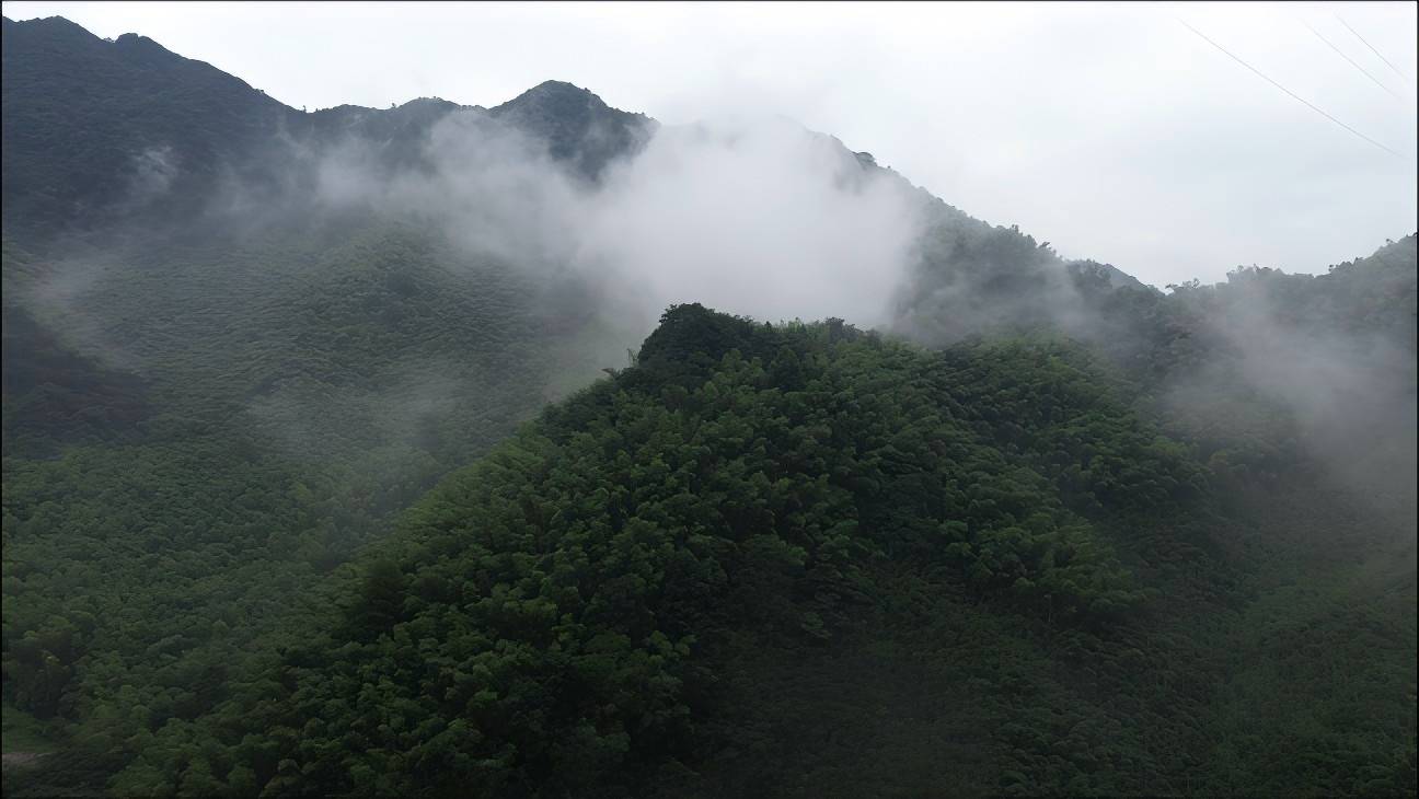 ����̩�������񣬹������µ���֮· �����㽭�ƾ���ѧ����ѧԺ�������ຼ��̩ʵ��������