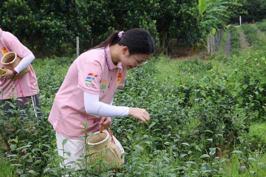 Ʒ������⣬ǿ�Ļ����ţ�����ѧ������ѧϰ���ϲ��Ļ�