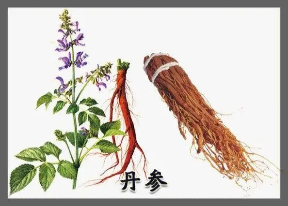 һζ���Σ���ͬ����--���η�ҩ�ò�λ��ֵ̽Ѱ