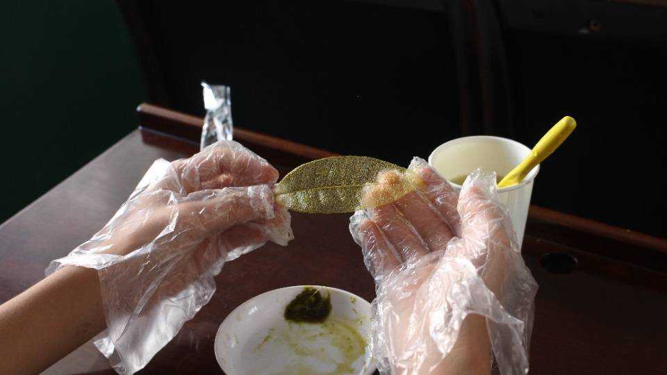 �������Σ������������������ʦ����ѧ��ѧѧԺʵ����Ҷ����ǩ��