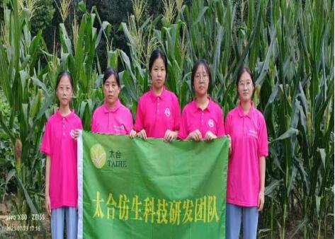 �����������ഺ��ɫ