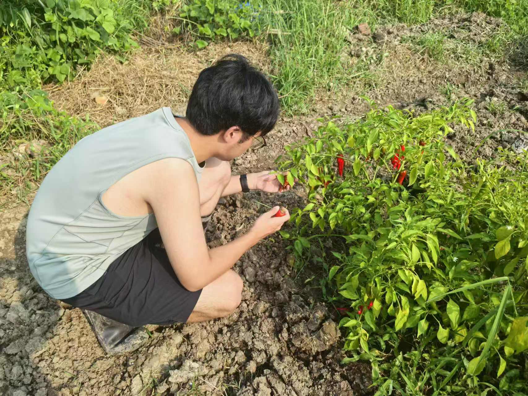 �������϶ӣ�̽����̬ũҵ��ģʽ���������Ƹ���ɫת��