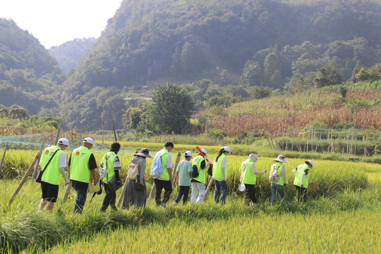 ��ůǭ���ϡ��������Ӵ�