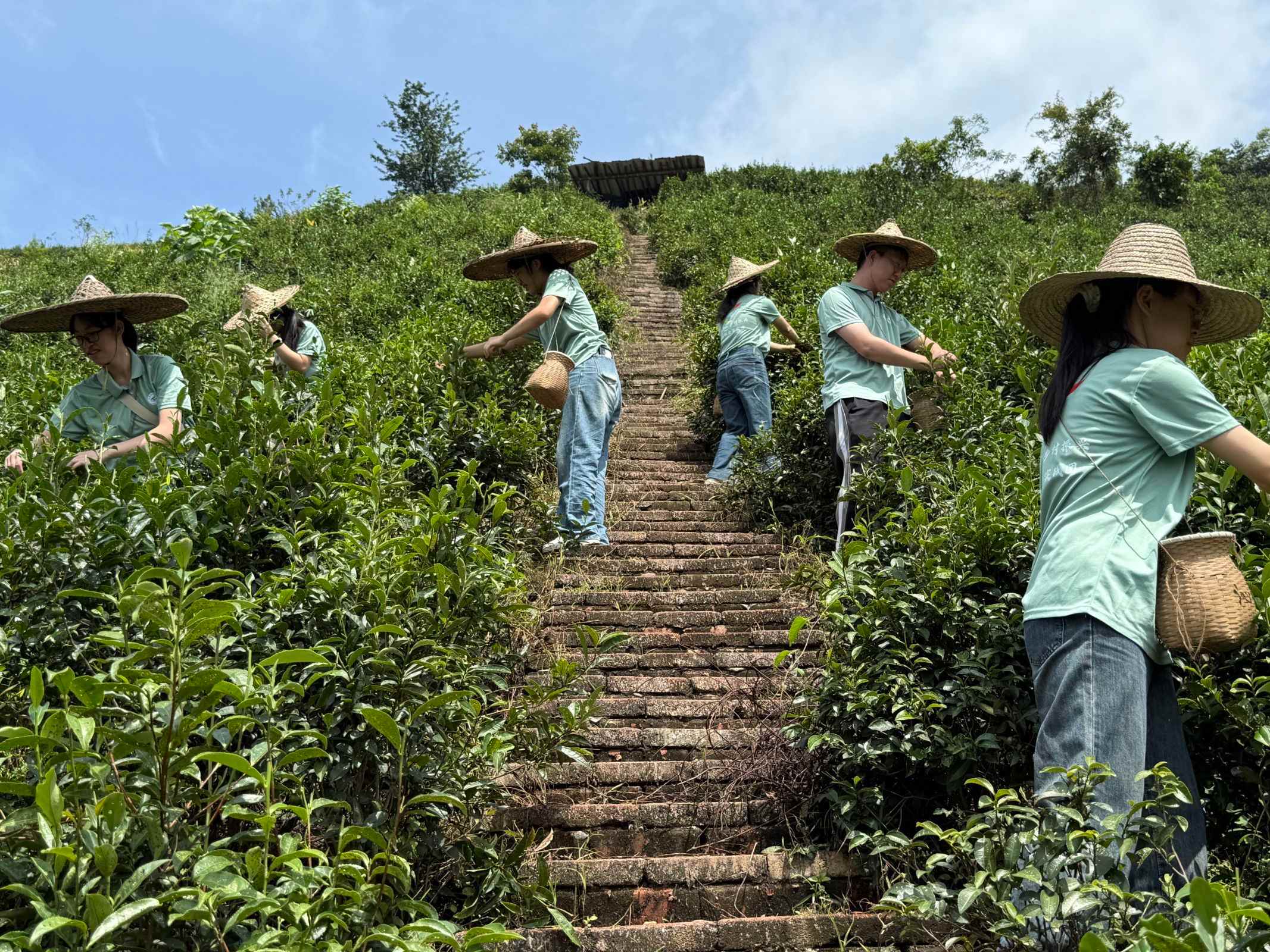 ǧ����ϣ����Ŵ���