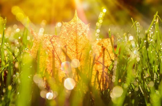 ���µ��̻�