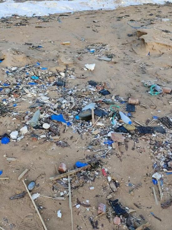 ɽ����ѧ����ɳ�����������ź��ٵ���Բ������