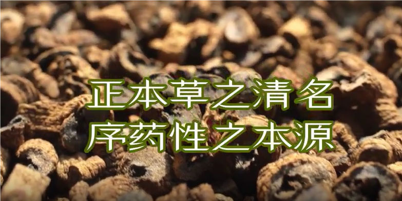 ���ݱ�֮��������ҩ��֮��Դ