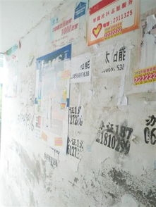 ������������ͬ�У�����ʦ����ѧ�ഺ�׵�־Ը�����ж�