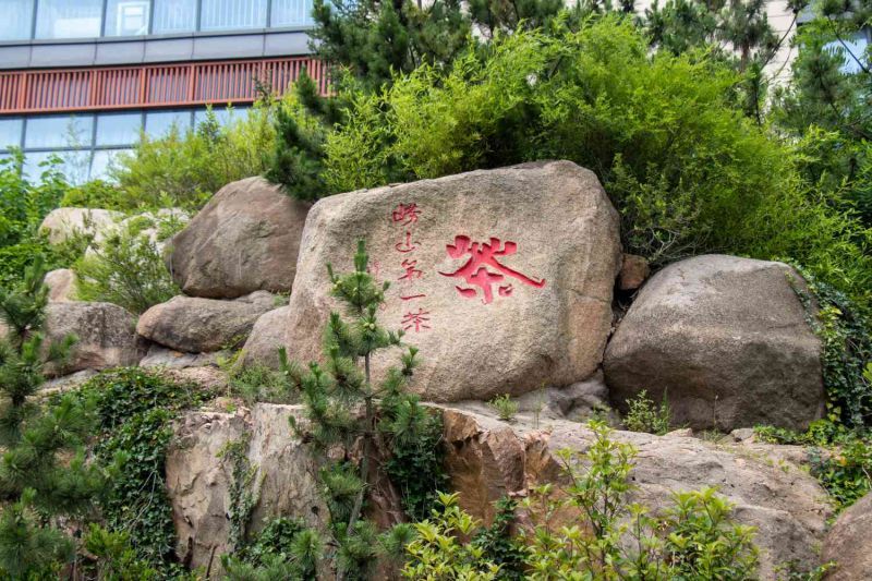 �ӵ�̼�ӽǳ�����̽�������ɫת��֮·-��Զʵ�����ĵ����