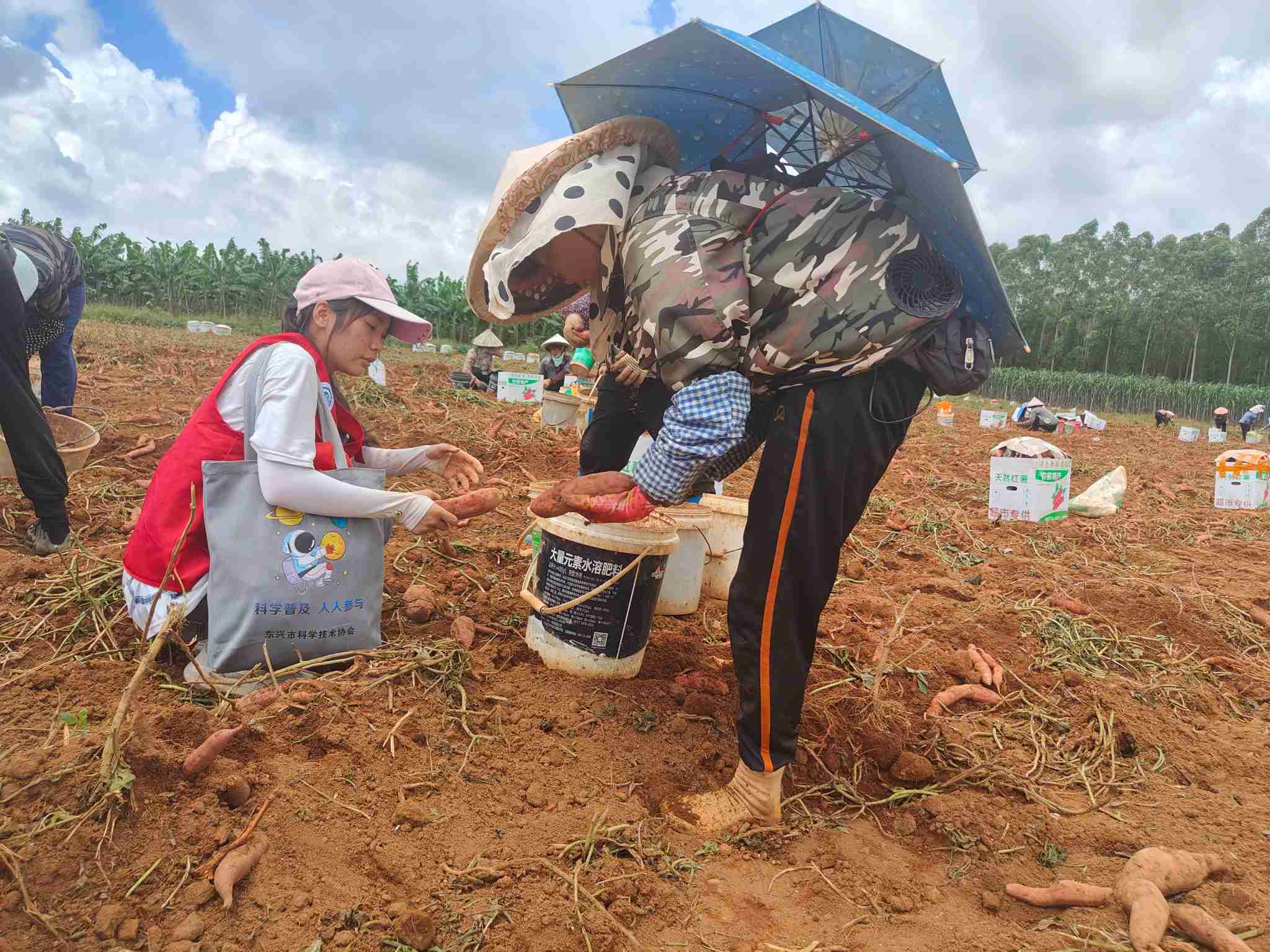 ��������ϵ��Ұ���������������