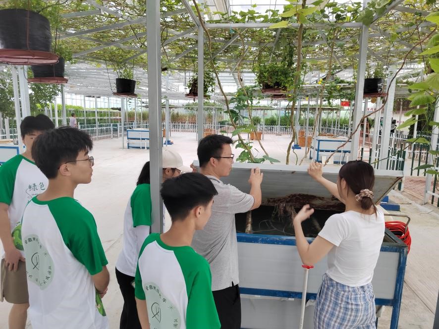 ̤����ũҵ·��Ѱ��ɫ��̼��