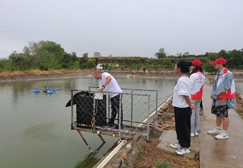 ��ũ���ںϣ������캽����չ������ֳ��������ҵ����