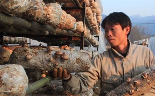 ������ѧ�������ѧ��