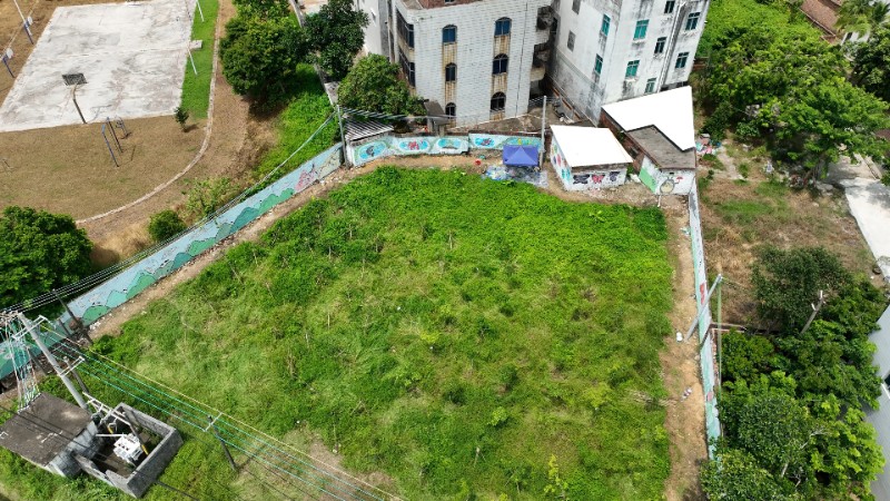 ���ɡ�ǽ�����¡������⣬�ҡ��桱��