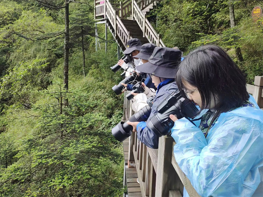 �߽���ũ�ܣ�̽�����޳�ͻ����̬ƽ��