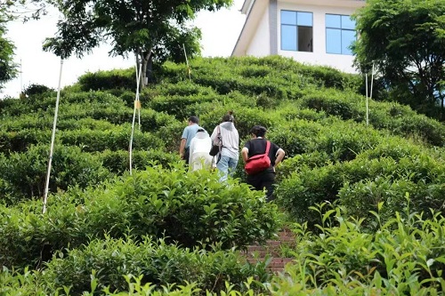 ����������ҵ �����ũ����