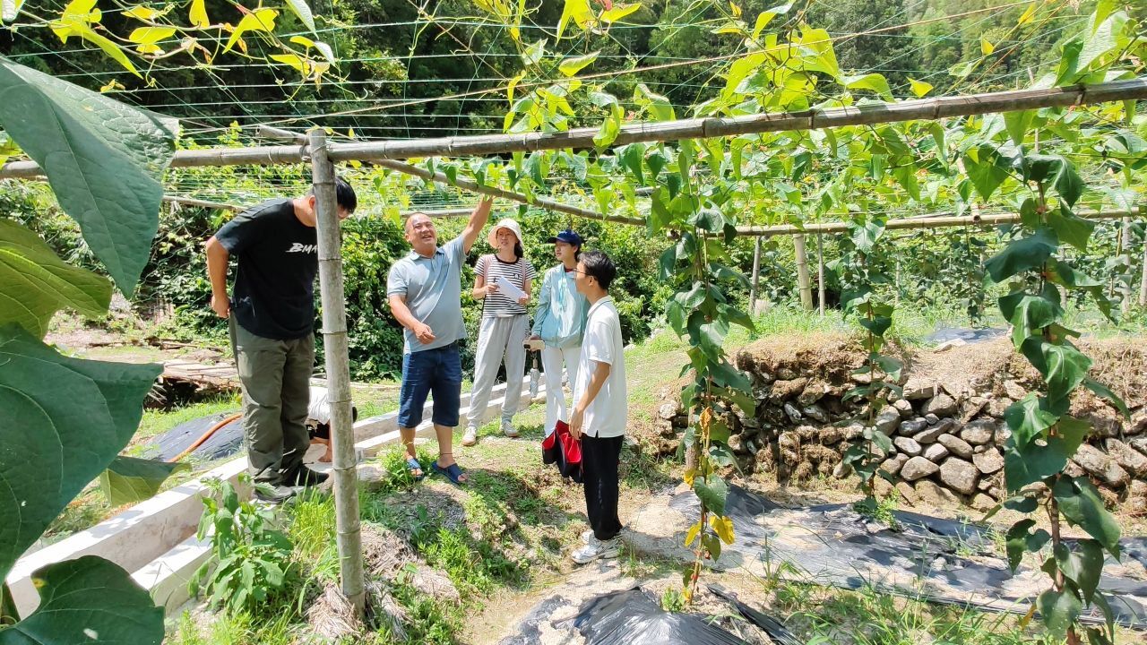 ����ʦ����ѧ����ƾ�̽���ţ���ɽ��ġ����ۡ��롰��̬��������