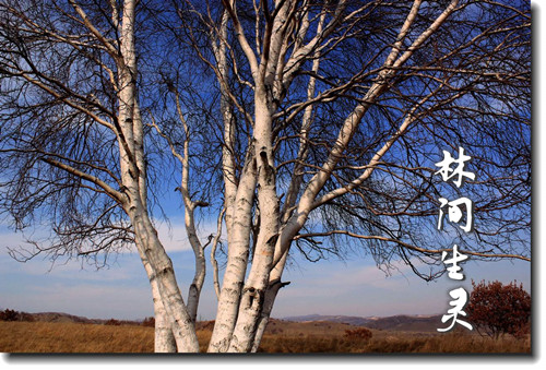 �ּ�����