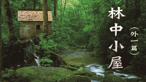 ����С��